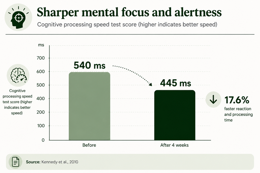 SHARPER FOCUS