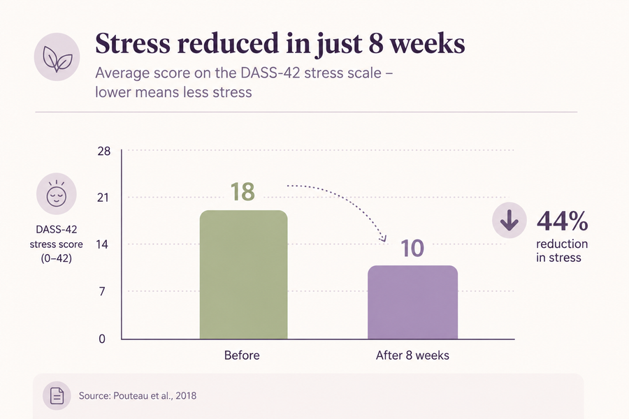 LESS STRESS